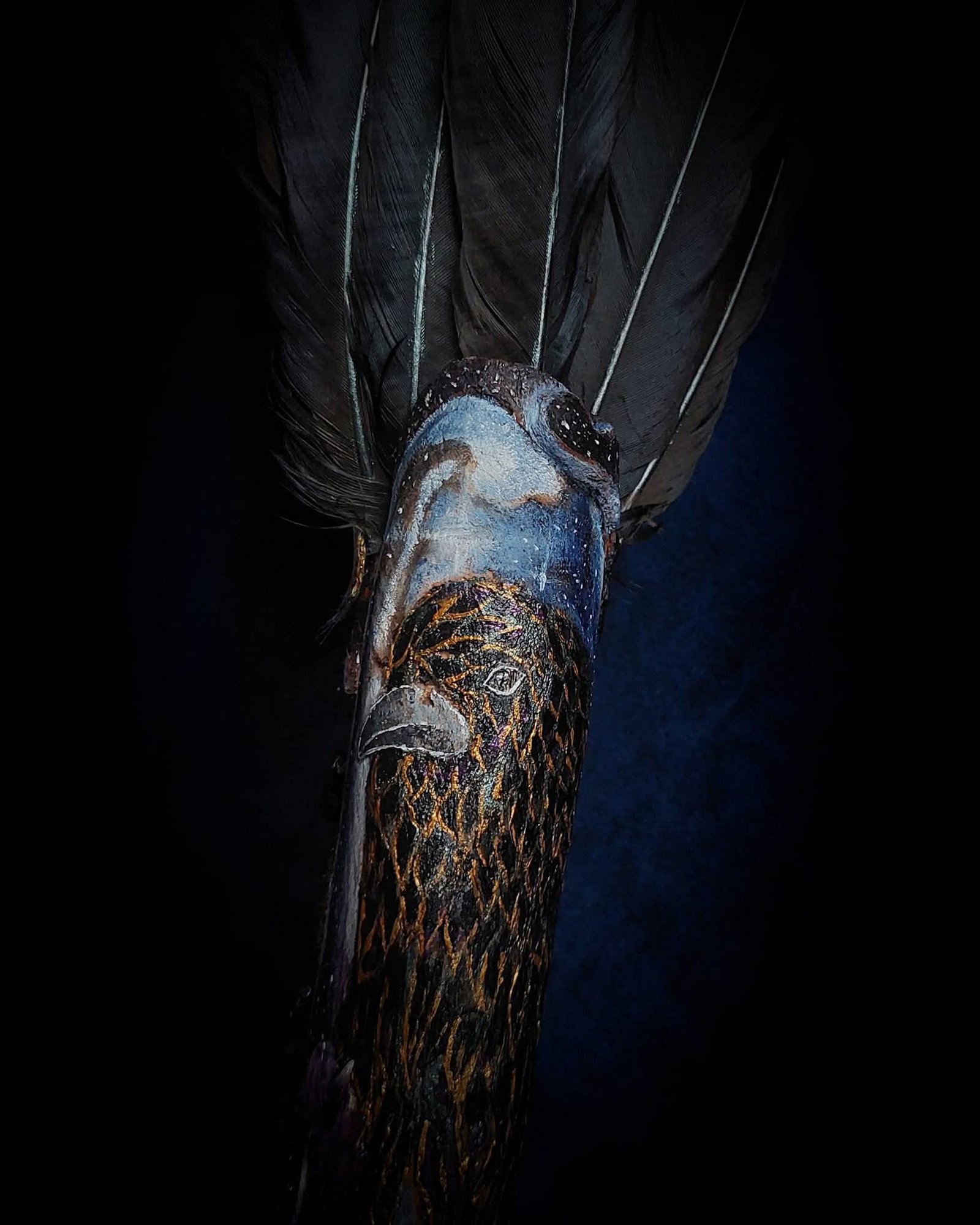 Crow 17
