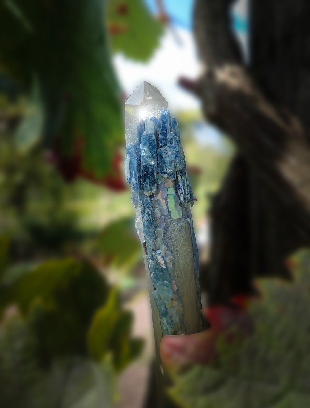 ELEMENTANA WANDS | WISDOM ART | MEDICINE MUSIC